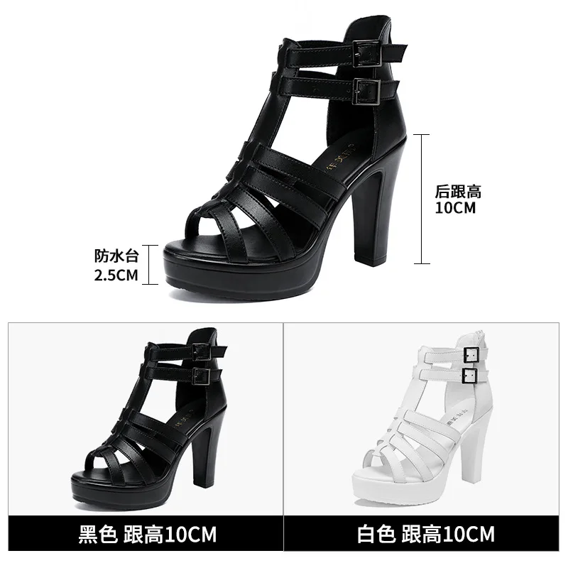 Gladiatore Scarpe da donna per - Summer Clothing Stores recensione e prezzo